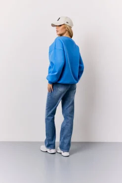 Discount In The Style Borg Graphic Sweater Blue