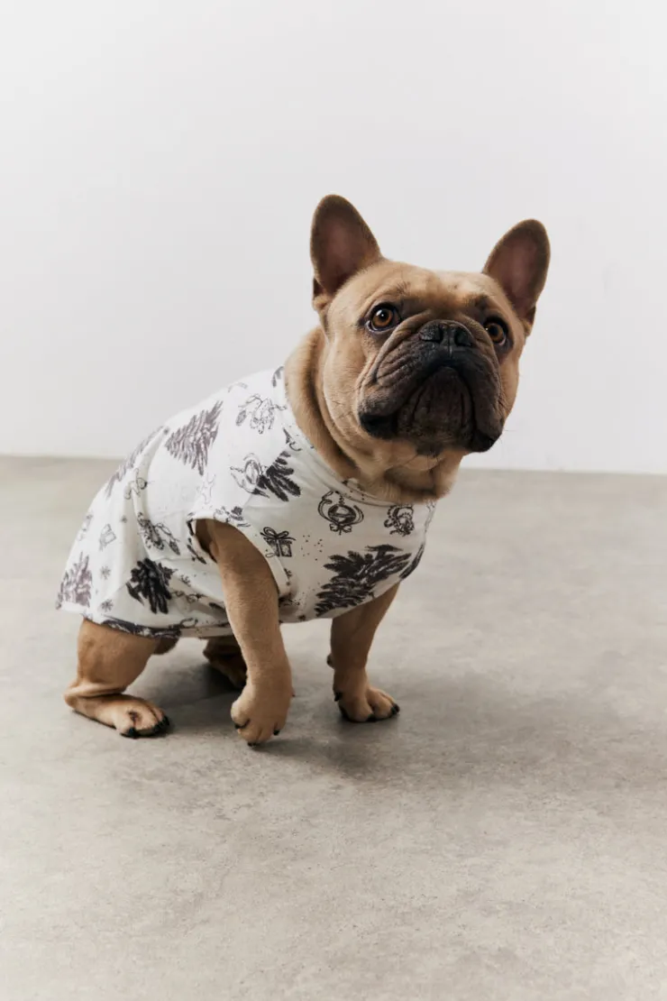 Sale In the Style Christmas Tree Matching Dog Coat Cream