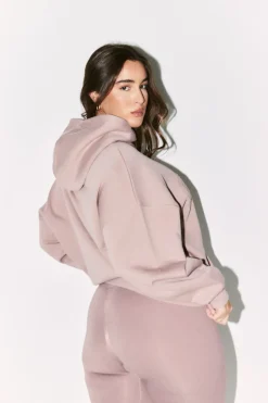 Fits Distressed Hoodie Mauve