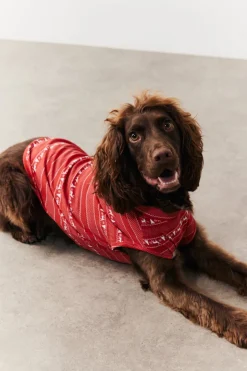 Clearance In the Style Dog Fairisle Print Pyjama Multi