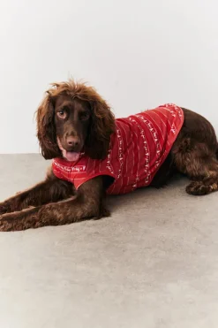 Clearance In the Style Dog Fairisle Print Pyjama Multi