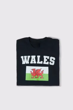 Clearance In The Style Kids Welsh Flag T-Shirt White