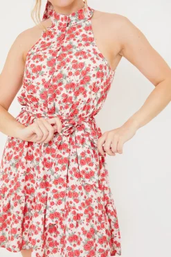 Clearance In the Style Polo In The Park Dress Red