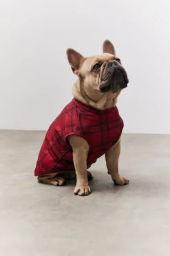 Clearance In the Style Checked Matching Dog Coat Red