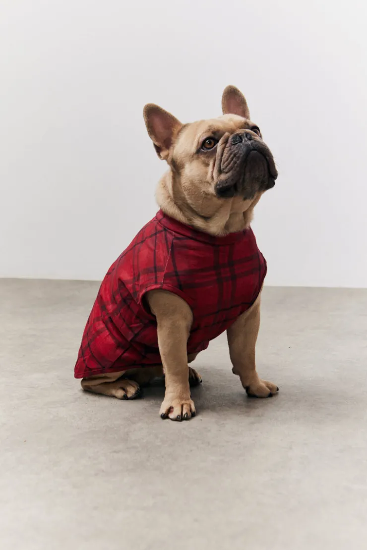 Clearance In the Style Checked Matching Dog Coat Red