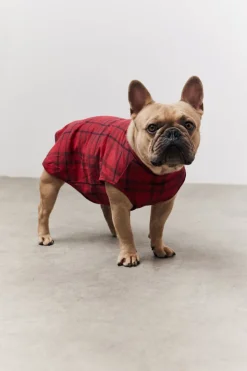 Clearance In the Style Checked Matching Dog Coat Red