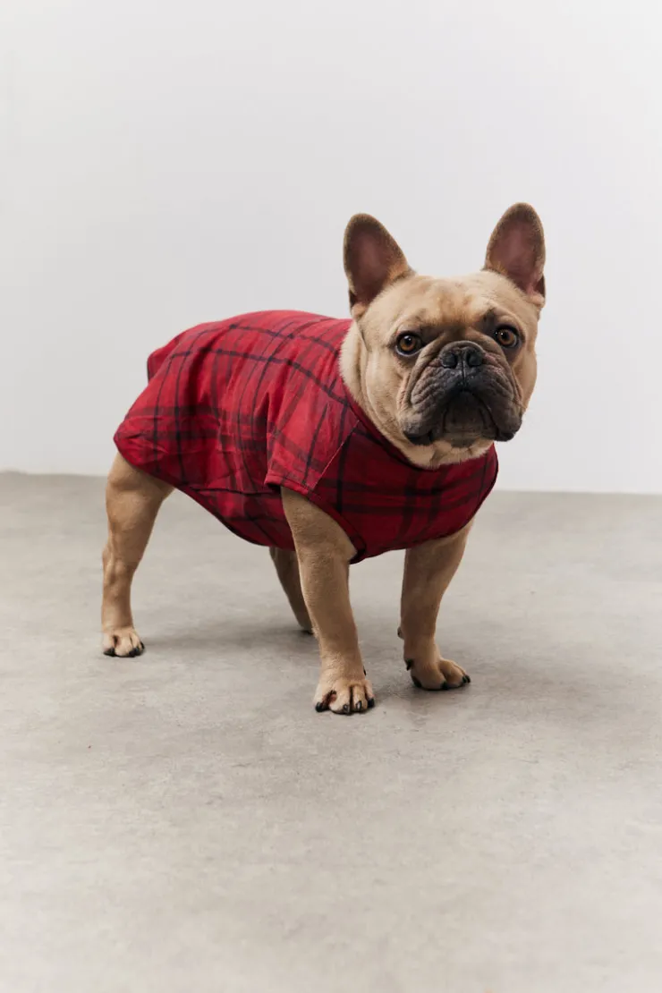 Clearance In the Style Checked Matching Dog Coat Red