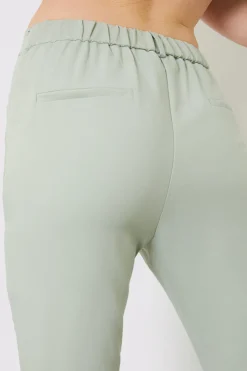 Best Fits Tailored Fit and Flare Trouser