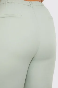 Best Fits Tailored Fit and Flare Trouser